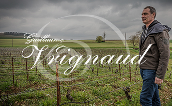 Weingut Domaine Guillaume Vrignaud