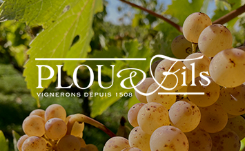 Weingut Plou & Fils FR Touraine Loir 