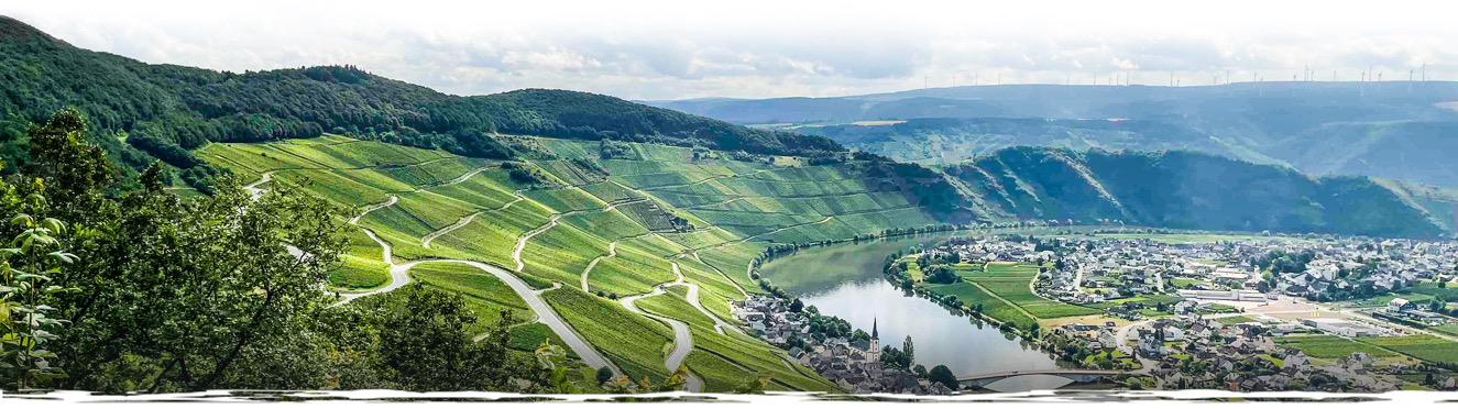 Weingut in Chile